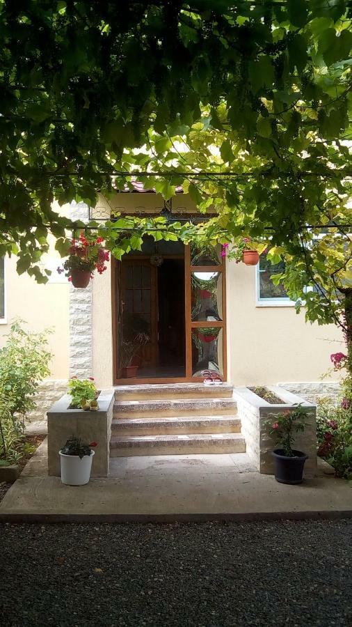 Vila Andre Două Mai Dış mekan fotoğraf