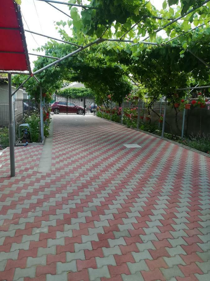 Vila Andre Două Mai Dış mekan fotoğraf